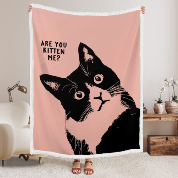 Cats Blanket – Are You Kitten Me – Blanket With Cats On It – Cat Fleece Blanket – Furlidays