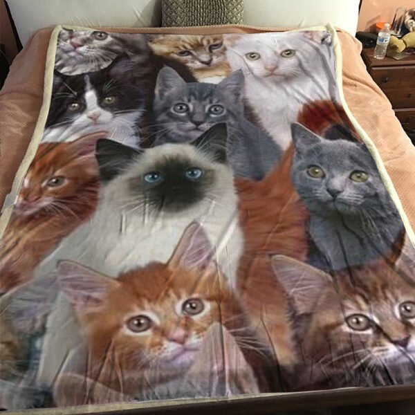 Blanket With Cats – Cat Blanket – Cat Fleece Blanket – Blanket Comfort Warmth Soft Plush Throw for Couch – Lovely Cats Pattern Bed – Furlidays