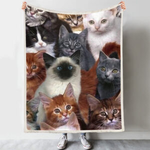 Blanket With Cats – Cat Blanket…