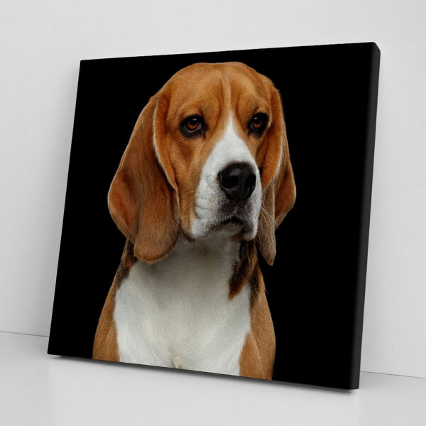 Dog Square Canvas – Beagle – Canvas Print – Dog Wall Art Canvas – Dog Canvas Print – Dog Painting Posters – Furlidays