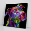 Dog Square Canvas – Multicolor Modern Pitbull Dog – Canvas Pictures – Dog Canvas Print – Dog Wall Art Canvas – Furlidays