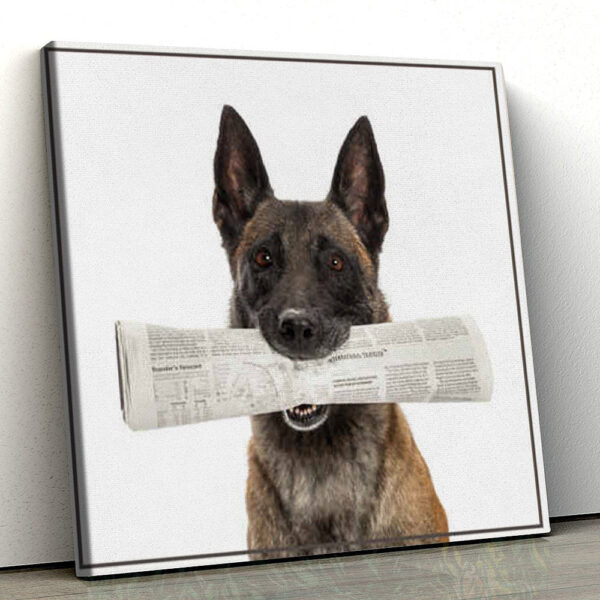 Dog Square Canvas – Dog With Newspaper – Dog Canvas Pictures -Dog Wall Art Canvas – Dog Poster Printing – Furlidays