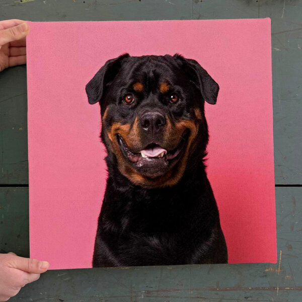 Dog Square Canvas – Bo The Rescue Dog, Smiling – Canvas Print – Dog Wall Art Canvas – Dog Canvas Print – Furlidays