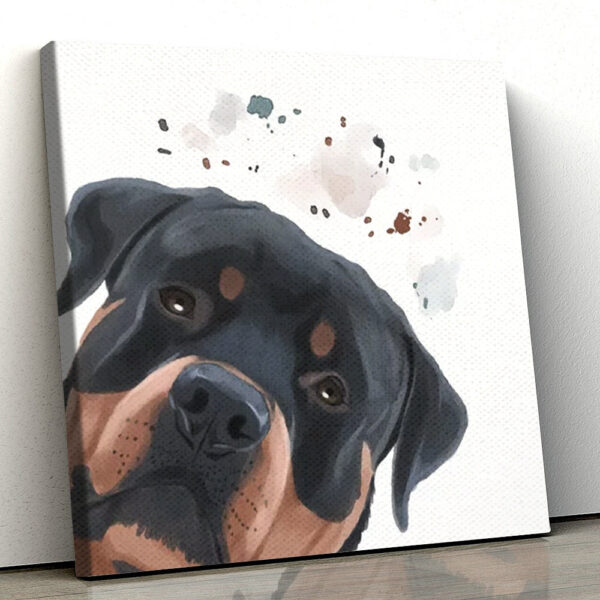 Dog Square Canvas – Curious Rottweiler – Dog Canvas Print – Dog Wall Art Canvas – Dog Canvas Art – Furlidays