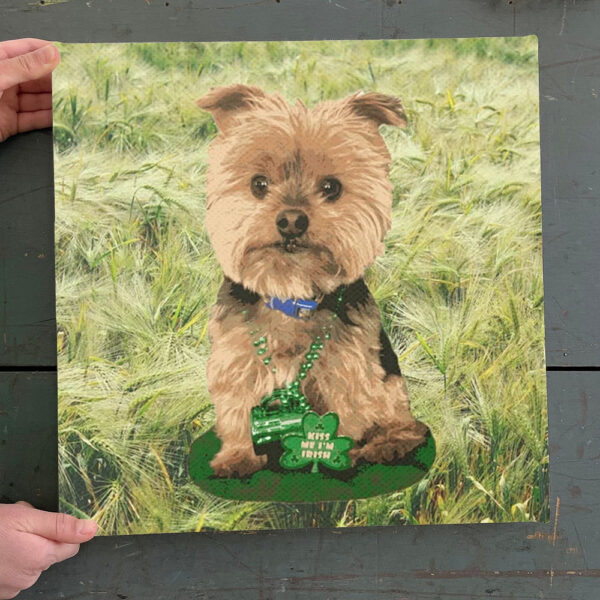 Dog Square Canvas – Kiss me I’m Irish – Yorkshire Terrier – Dogs Canvas Print – Dog Wall Art Canvas – Furlidays