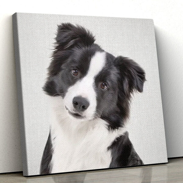 Dog Square Canvas – Border Collie – Colorful Canvas Print – Dog Canvas Print – Canvas With Dogs On It – Furlidays