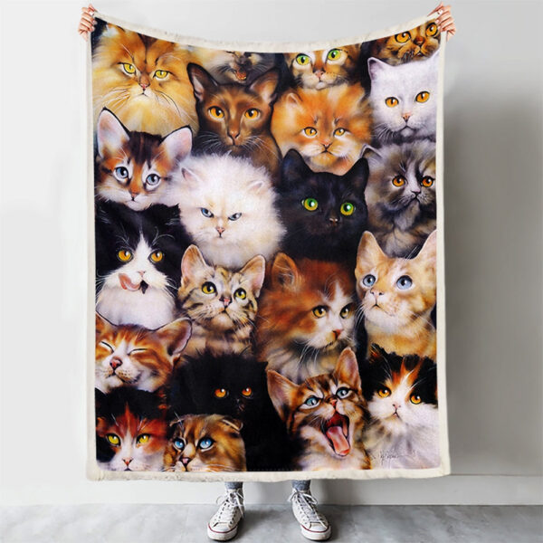 Cat Blanket – Cat Throw Blanket – Cat Fleece Blanket – Blanket With Cats – Kittens – Furlidays