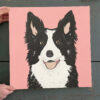 Dog Square Canvas – Border Collie…