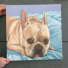 Dog Square Canvas – Sweet And Funny French Bulldog Painting -Frenchie Dog Portrait – Canvas Print – Dog Wall Art Canvas – Furlidays