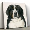 Dog Square Canvas – Dog Canvas – Bernese Mountain – Canvas Print – Dog Poster Printing – Dog Wall Art Canvas – Dog Canvas Art – Furlidays