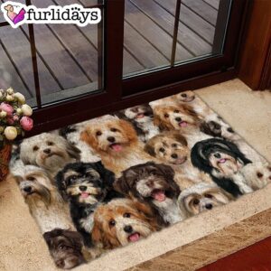A Bunch Of Havaneses Doormat Funny Doormat Gift For Dog Lovers 1