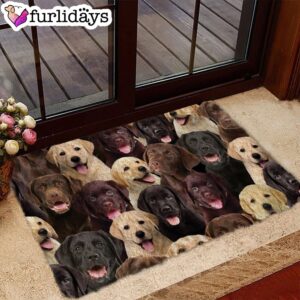 A Bunch Of Labradors Doormat Xmas Welcome Mats Gift For Dog Lovers 1