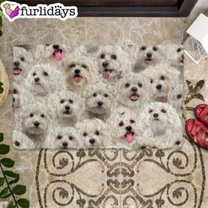 A Bunch Of Malteses Doormat Funny Doormat Gift For Dog Lovers 2