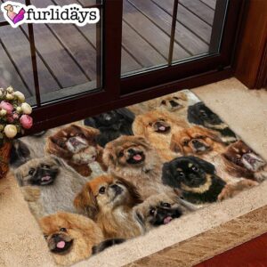 A Bunch Of Pekingeses Doormat Xmas Welcome Mats Gift For Dog Lovers 1