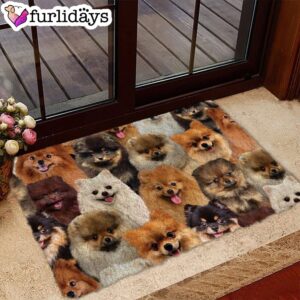 A Bunch Of Pomeranians Doormat –…