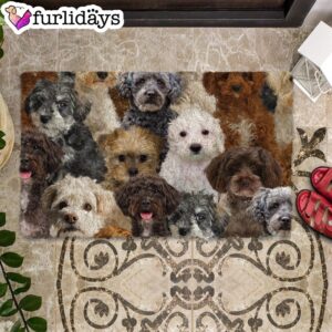 A Bunch Of Schnoodles Doormat Funny Doormat Gift For Dog Lovers 2