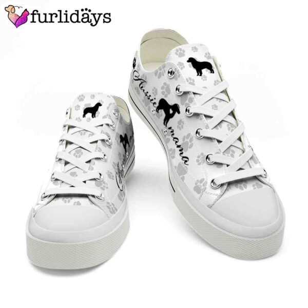 Aussie Paws Pattern Low Top Shoes  – Happy International Dog Day Canvas Sneaker – Owners Gift Dog Breeders