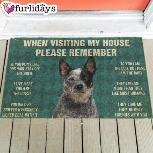 Australian Cattle s Rules Doormat Xmas Welcome Mats Gift For Dog Lovers 1