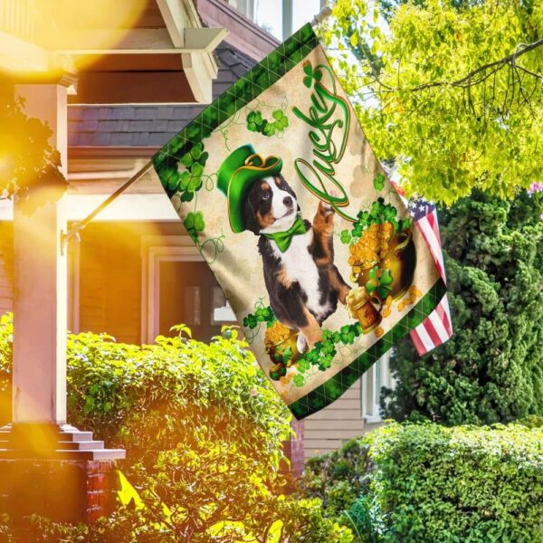 Australian Shepherd St Patrick’s Day Garden Flag – Best Outdoor Decor Ideas – St Patrick’s Day Gifts