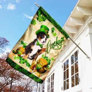 Australian Shepherd St Patrick s Day Garden Flag Best Outdoor Decor Ideas St Patrick s Day Gifts 3