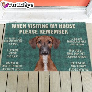 Azawakh s Rules Doormat Xmas Welcome Mats Gift For Dog Lovers 1
