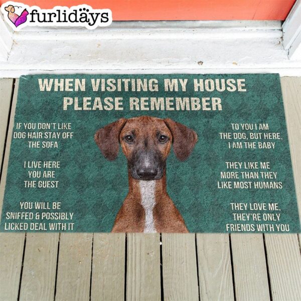 Azawakh’s Rules Doormat – Xmas Welcome Mats – Gift For Dog Lovers