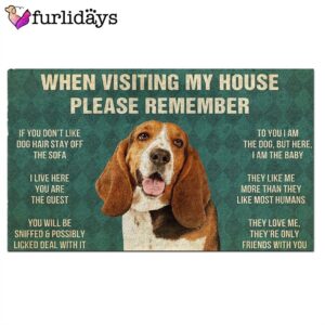 Basset Hound s Rules Doormat Funny Doormat Gift For Dog Lovers 2