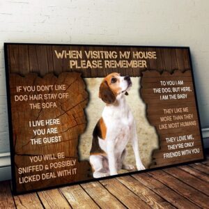 Beagle Please Remember When Visiting Our House Poster Dog Wall Art Poster To Print Housewarming Gifts 1