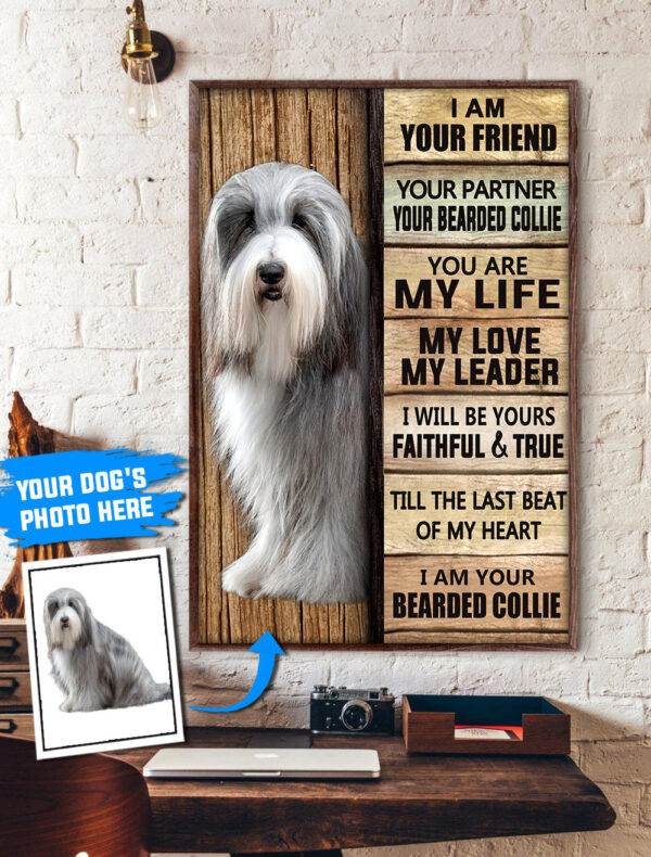 Bearded Collie Personalized Poster & Canvas – Dog Canvas Wall Art – Dog Lovers Gifts For Him Or Her