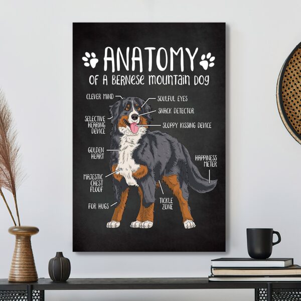 Bernese Mountain Dog – Anatomy Of A Bernese Mountain Dog – Dog Pictures – Dog Canvas Poster – Dog Wall Art – Gifts For Dog Lovers – Furlidays