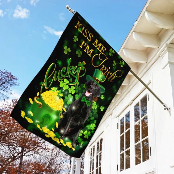 Black Labrador Kiss Me I’m Irish St Patrick’s Day Garden Flag – Best Outdoor Decor Ideas – St Patrick’s Day Gifts
