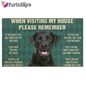 Black Labrador Retrievers House Rules Doormat s Rules Doormat Xmas Welcome Mats Gift For Dog Lovers 2