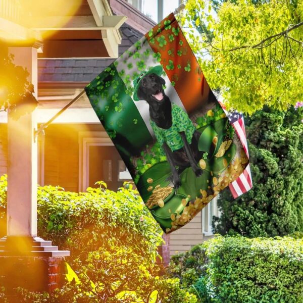 Black Labrador St Patrick’s Day Garden Flag – Best Outdoor Decor Ideas – St Patrick’s Day Gifts
