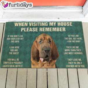 Bloodhound s Rules Doormat Funny Doormat Gift For Dog Lovers 1