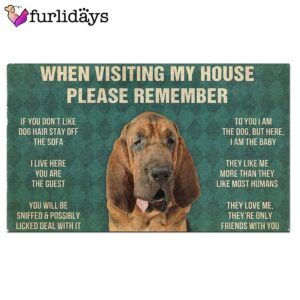 Bloodhound s Rules Doormat Funny Doormat Gift For Dog Lovers 2