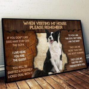 Border Collie Please Remember When Visiting…