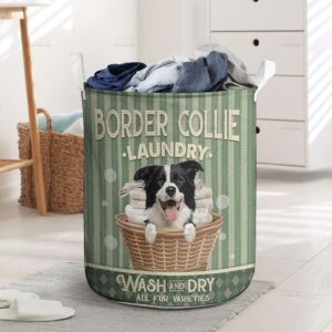 Border Collie Wash And Dry In…