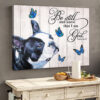 Boston Terrier Matte Canvas – Dog Wall Art Prints – Canvas Wall Art Decor