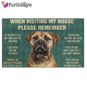 Bullmastiff s Rules Doormat Xmas Welcome Mats Gift For Dog Lovers 2