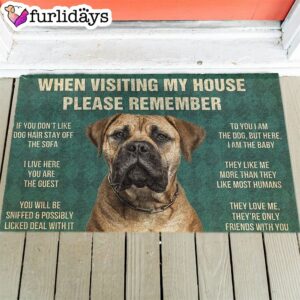 Bullmastiff s Rules Doormat Flannel Funny Doormat Gift For Dog Lovers 1