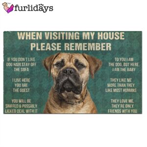 Bullmastiff s Rules Doormat Flannel Funny Doormat Gift For Dog Lovers 2