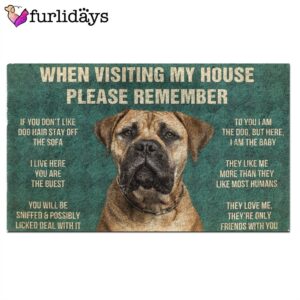 Bullmastiffs House Rules Doormat s Rules Doormat Funny Doormat Dog Memorial Gift 2
