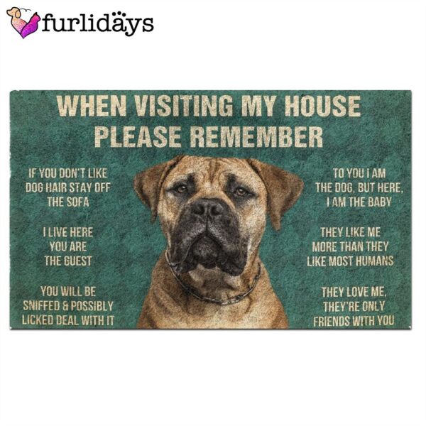 Bullmastiffs House Rules Doormat’s Rules Doormat – Funny Doormat – Dog Memorial Gift