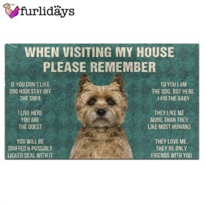 Cairn Terrier s Rules Doormat Funny Doormat Gift For Dog Lovers 2