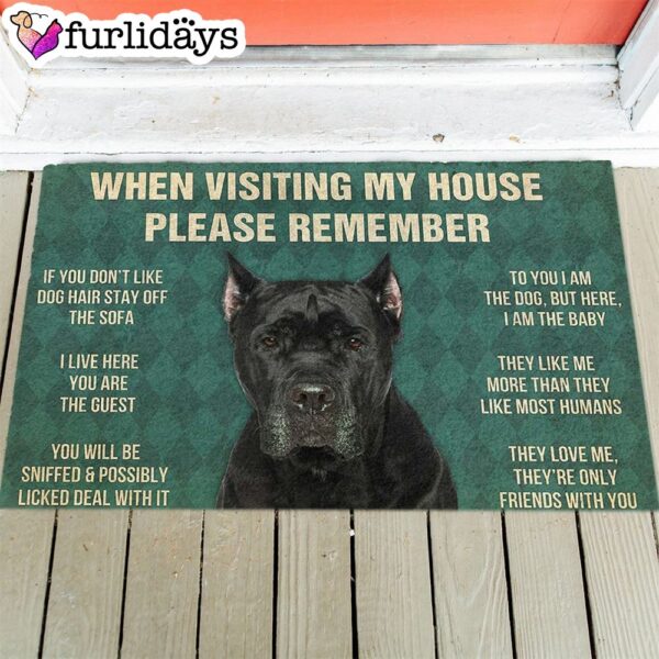 Cane Corso’s Rules Doormat – Xmas Welcome Mats – Gift For Dog Lovers