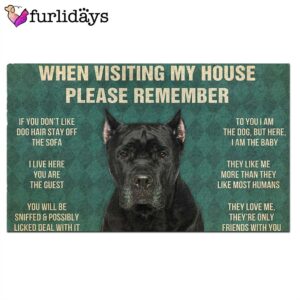 Cane Corso s Rules Doormat Xmas Welcome Mats Gift For Dog Lovers 2