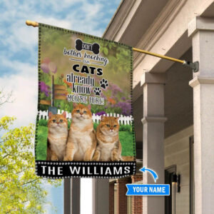Cat Don t Bother Knocking Personalized Flag Custom Cat Garden Flags Cat Flag For House 3