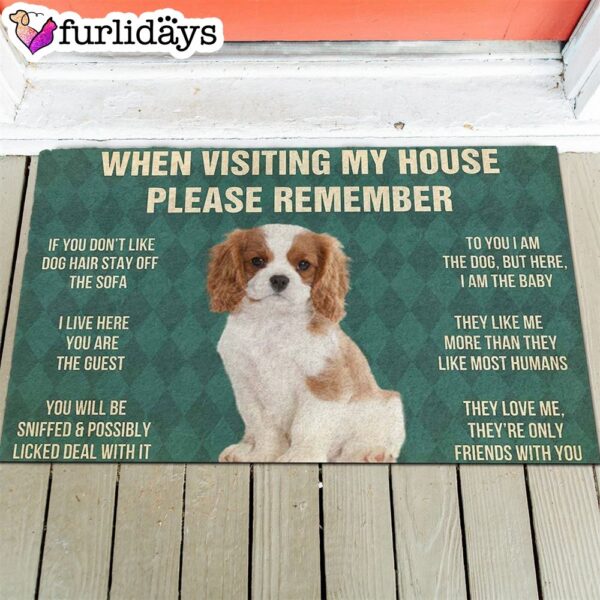 Cavalier King Charles Spaniel Puppy’s Rules Doormat – Funny Doormat – Gift For Dog Lovers