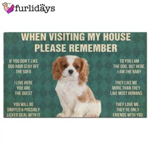 Cavalier King Charles Spaniel Puppy s Rules Doormat Funny Doormat Gift For Dog Lovers 2