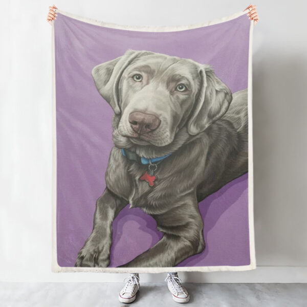 Dog Blankets – Sweet Silver Labrador – Dog Blankets For Sofa – Dog In Blanket – Dog Throw Blanket – Furlidays